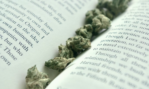 best books about weed