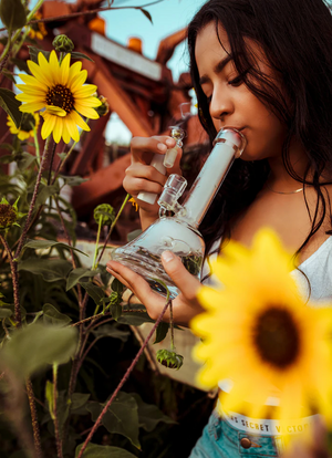 best bongs and best bong brands