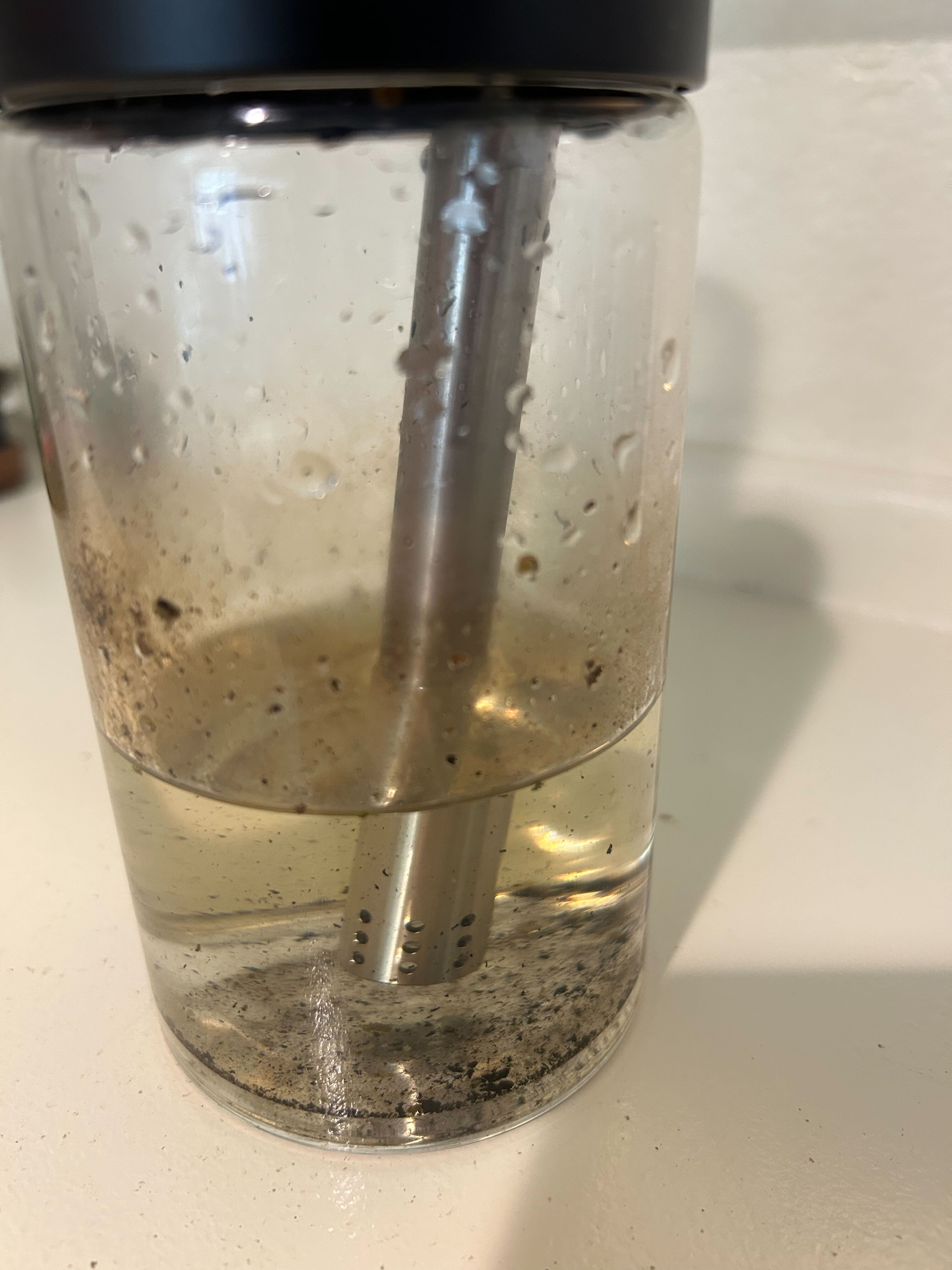 Can Dirty Bong Water Kill You? The Dangers That Lie Inside